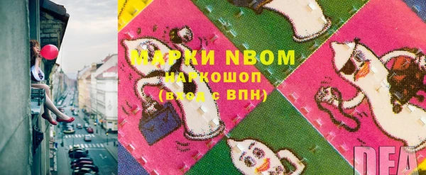 ПСИЛОЦИБИНОВЫЕ ГРИБЫ Арсеньев
